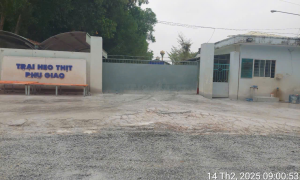 Trại chăn nuôi heo ở Bình Dương